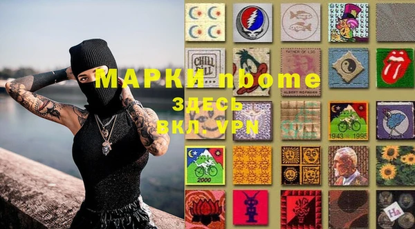 индика Аркадак