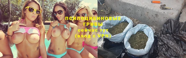 стафф Арсеньев