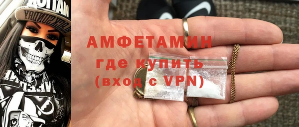 индика Аркадак