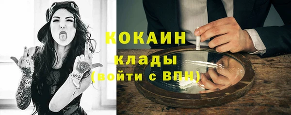 индика Аркадак