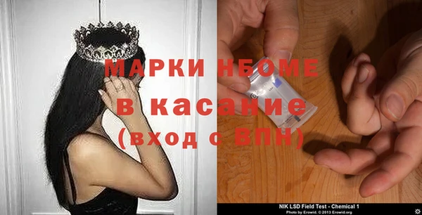 стафф Арсеньев