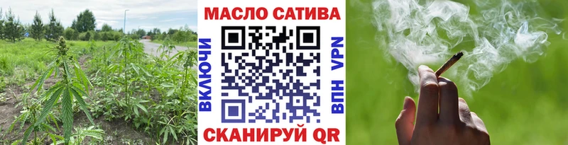 где купить наркотик  Покровск  Дистиллят ТГК THC oil 
